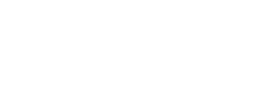 logo export dbgstorage white